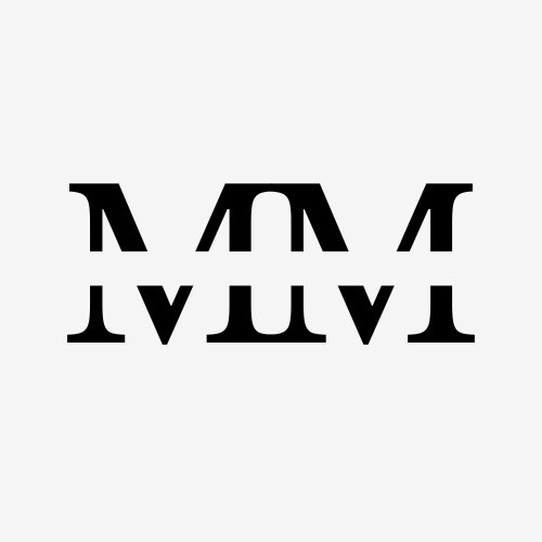 website logo
